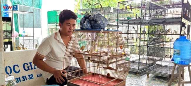 Thanh niên Tiền Giang khởi nghiệp làm giàu từ nuôi chim chào mào (22/09/2024)